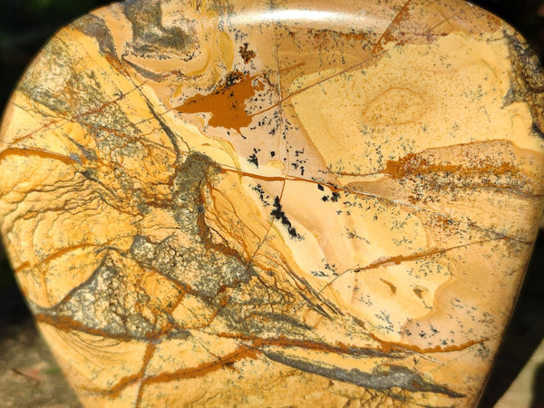 Polished Picture Stone Jasper Standing Free Forms x 2 From Ais-Ais, Namibia