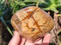 Polished Picture Stone Jasper Standing Free Forms x 2 From Ais-Ais, Namibia - Toprock Gemstones and Minerals 