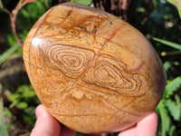Polished Picture Stone Jasper Standing Free Forms x 2 From Ais-Ais, Namibia - Toprock Gemstones and Minerals 