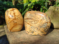 Polished Picture Stone Jasper Standing Free Forms x 2 From Ais-Ais, Namibia - Toprock Gemstones and Minerals 