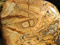 Polished Picture Stone Jasper Standing Free Forms x 2 From Ais-Ais, Namibia - Toprock Gemstones and Minerals 