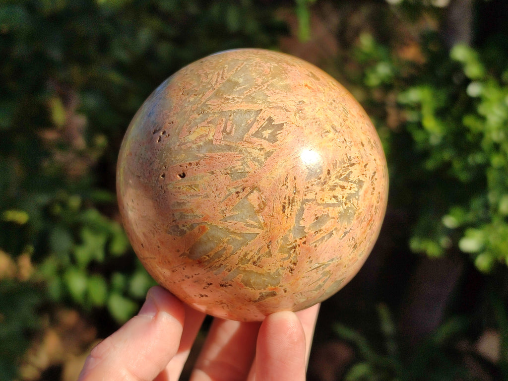 Polished Mix of Selected Spheres x 2 From Madagascar - Toprock Gemstones and Minerals 