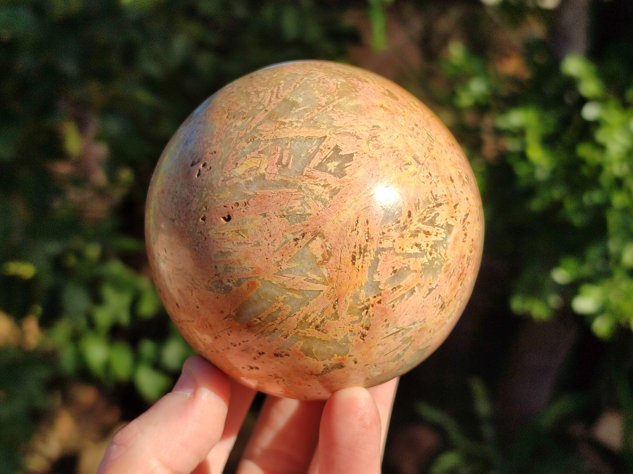 Polished Mix of Selected Spheres x 2 From Madagascar - Toprock Gemstones and Minerals 