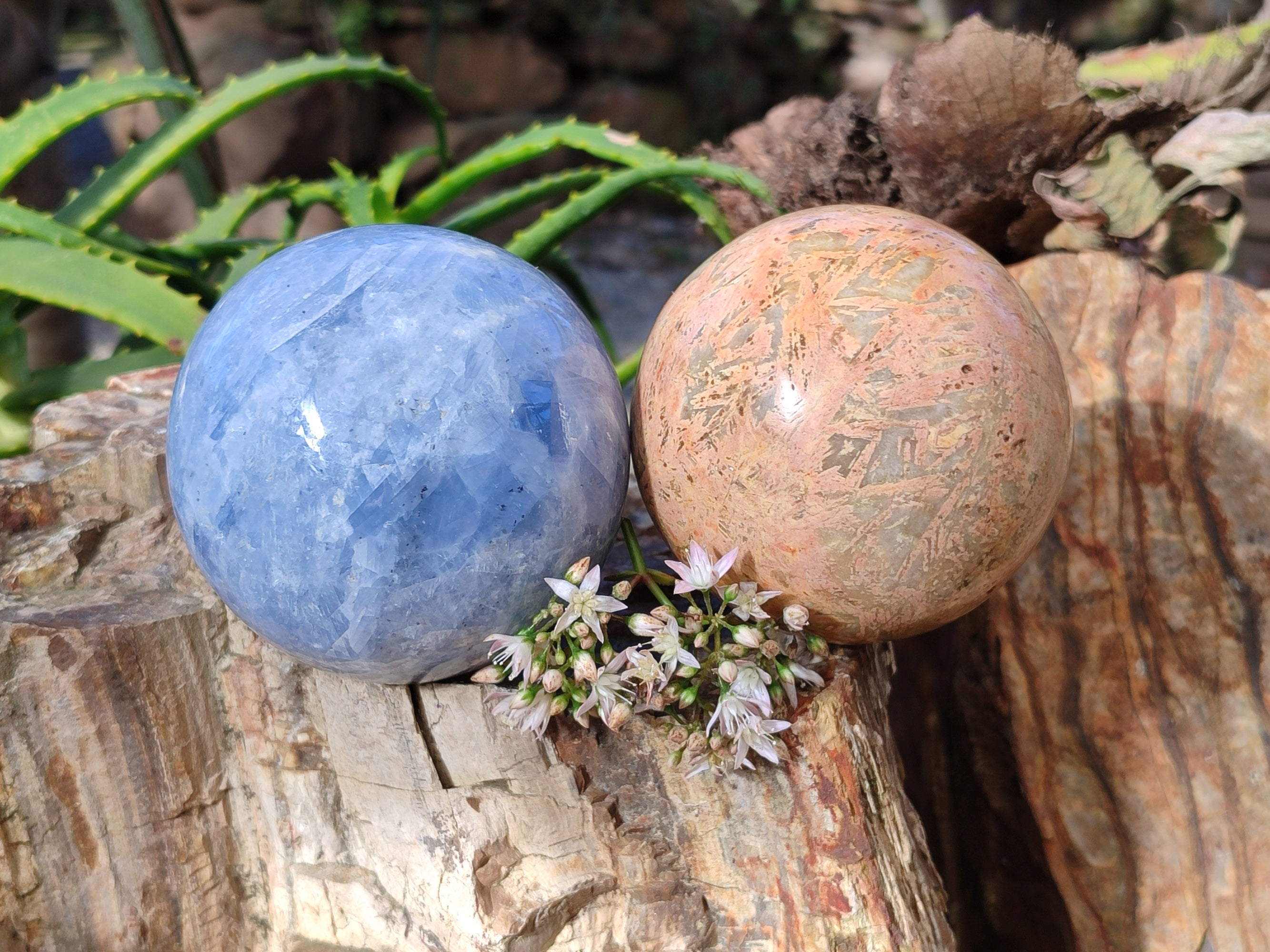Polished Mix of Selected Spheres x 2 From Madagascar - Toprock Gemstones and Minerals 