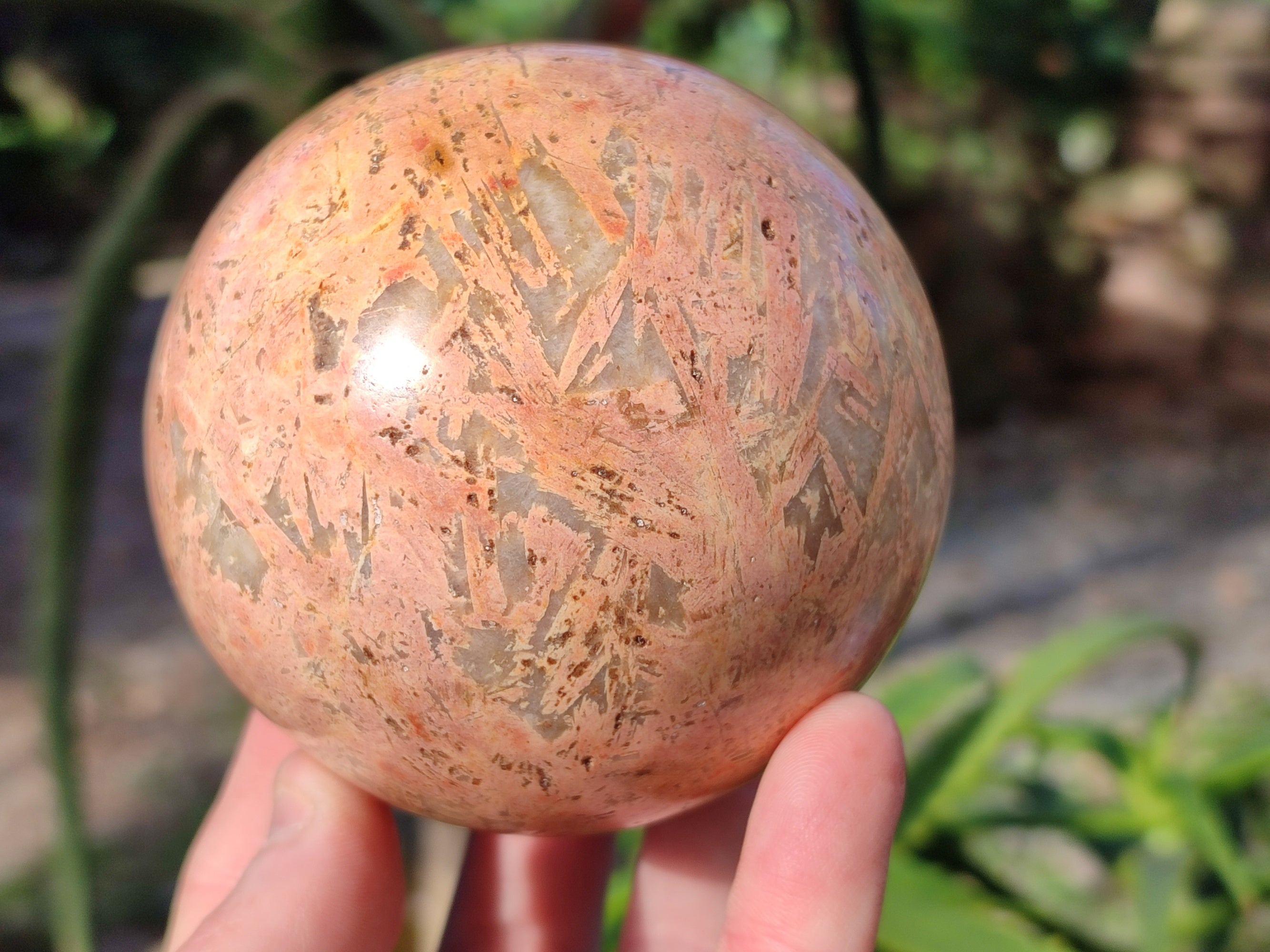 Polished Mix of Selected Spheres x 2 From Madagascar - Toprock Gemstones and Minerals 