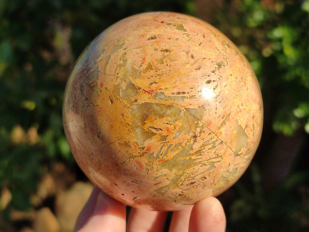 Polished Mix of Selected Spheres x 2 From Madagascar - Toprock Gemstones and Minerals 