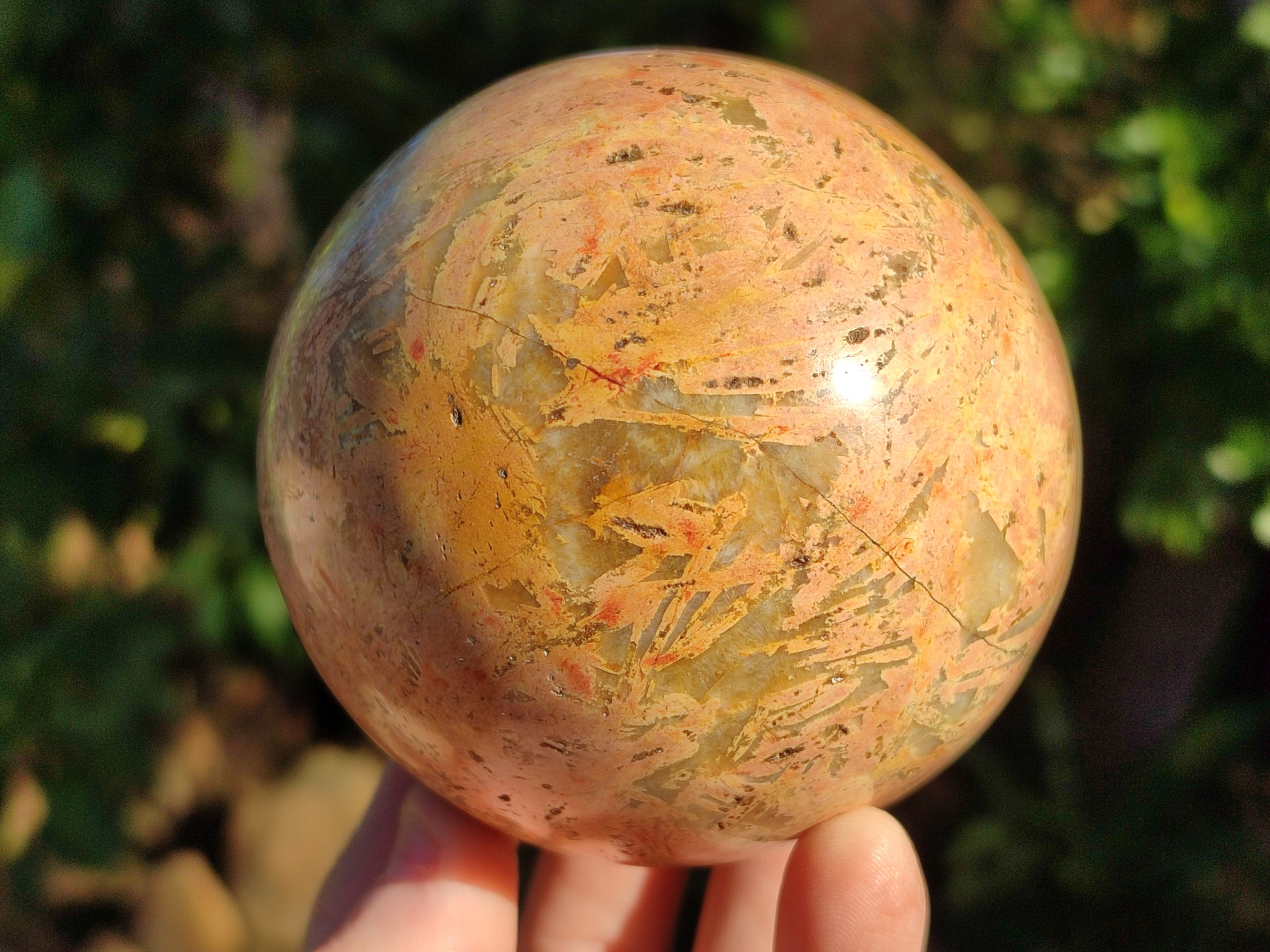 Polished Mix of Selected Spheres x 2 From Madagascar - Toprock Gemstones and Minerals 