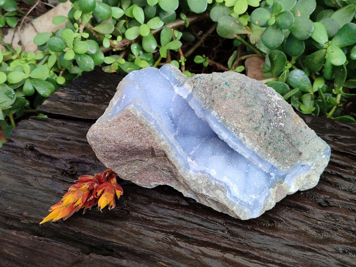Natural Blue Lace Agate Geode Specimens x 1 From Nsanje, Malawi - Toprock Gemstones and Minerals 