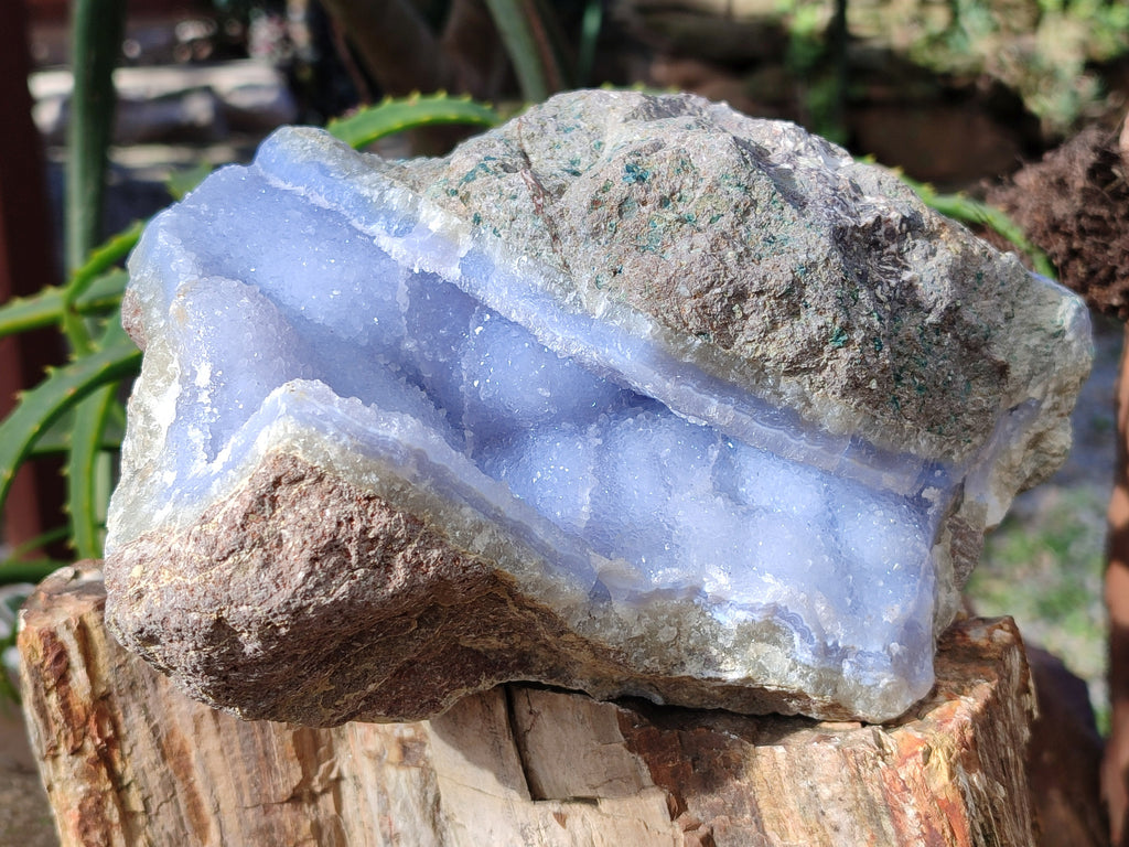 Natural Blue Lace Agate Geode Specimens x 1 From Nsanje, Malawi - Toprock Gemstones and Minerals 