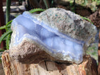 Natural Blue Lace Agate Geode Specimens x 1 From Nsanje, Malawi - Toprock Gemstones and Minerals 