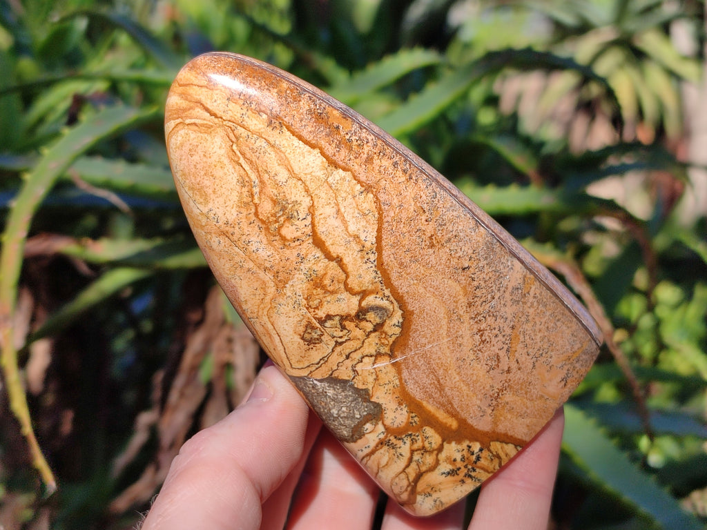 Polished Picture Stone Jasper Standing Free Forms x 3 From Ais-Ais, Namibia - Toprock Gemstones and Minerals 
