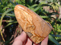 Polished Picture Stone Jasper Standing Free Forms x 3 From Ais-Ais, Namibia - Toprock Gemstones and Minerals 