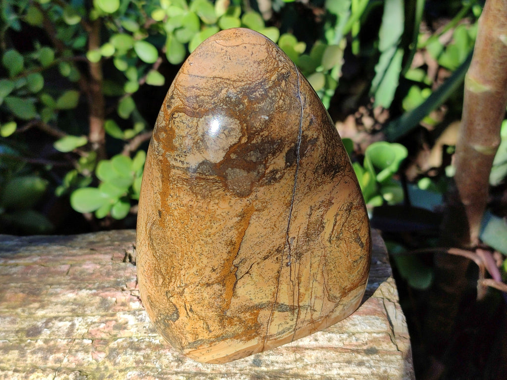 Polished Picture Stone Jasper Standing Free Forms x 3 From Ais-Ais, Namibia - Toprock Gemstones and Minerals 