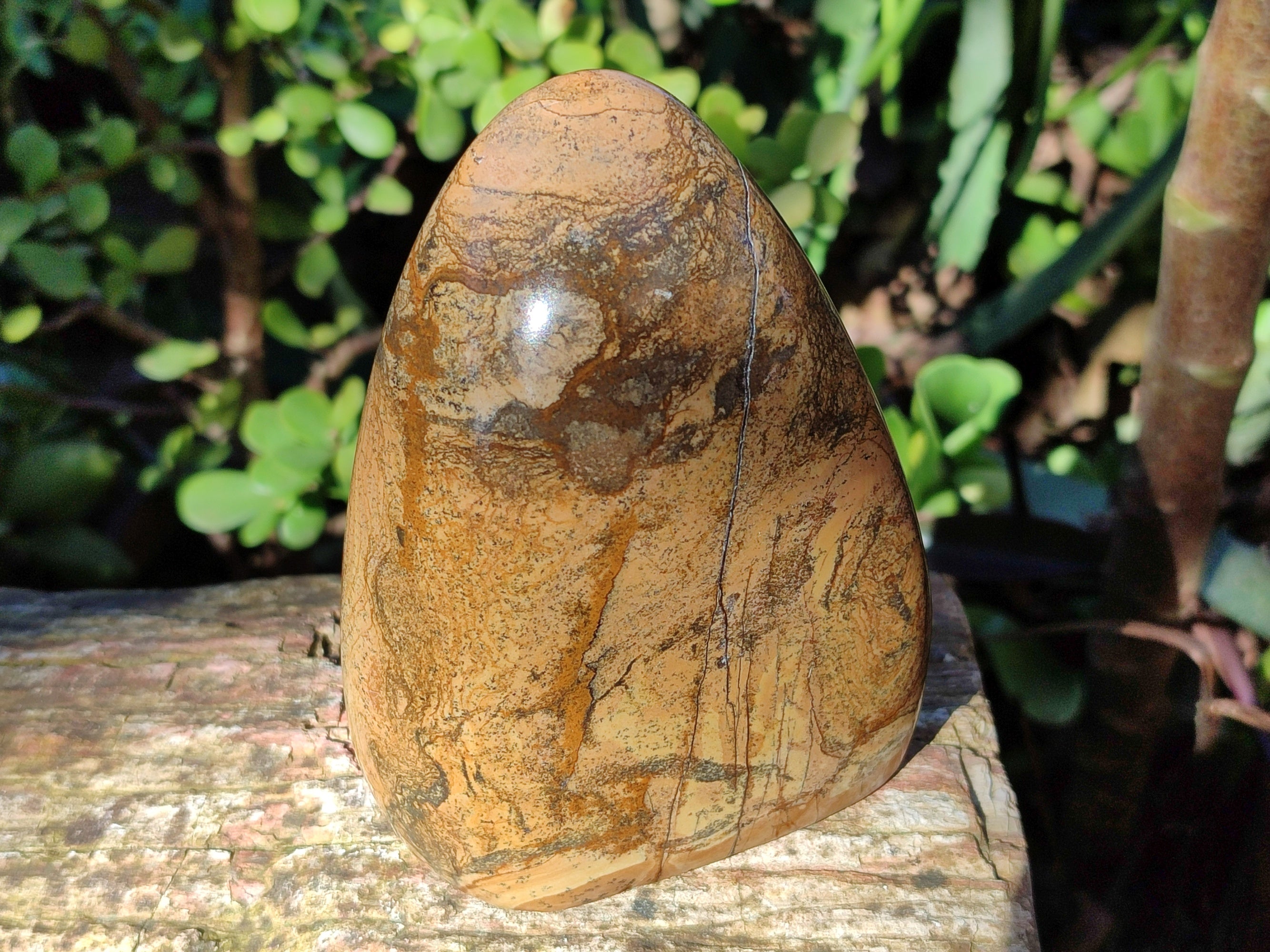 Polished Picture Stone Jasper Standing Free Forms x 3 From Ais-Ais, Namibia - Toprock Gemstones and Minerals 