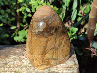 Polished Picture Stone Jasper Standing Free Forms x 3 From Ais-Ais, Namibia - Toprock Gemstones and Minerals 