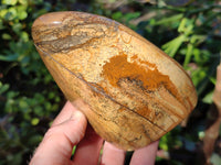 Polished Picture Stone Jasper Standing Free Forms x 3 From Ais-Ais, Namibia - Toprock Gemstones and Minerals 