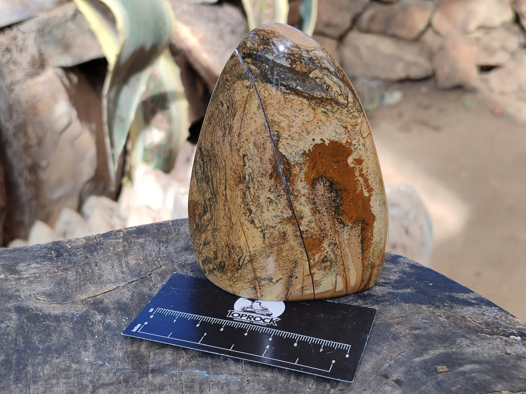 Polished Picture Stone Jasper Standing Free Forms x 3 From Ais-Ais, Namibia - Toprock Gemstones and Minerals 