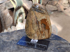Polished Picture Stone Jasper Standing Free Forms x 3 From Ais-Ais, Namibia - Toprock Gemstones and Minerals 
