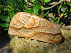 Polished Picture Stone Jasper Standing Free Forms x 3 From Ais-Ais, Namibia - Toprock Gemstones and Minerals 