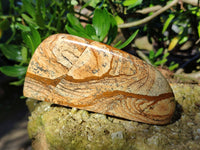 Polished Picture Stone Jasper Standing Free Forms x 3 From Ais-Ais, Namibia - Toprock Gemstones and Minerals 