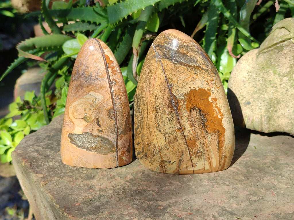 Polished Picture Stone Jasper Standing Free Forms x 3 From Ais-Ais, Namibia - Toprock Gemstones and Minerals 