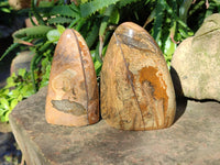 Polished Picture Stone Jasper Standing Free Forms x 3 From Ais-Ais, Namibia - Toprock Gemstones and Minerals 