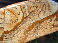 Polished Picture Stone Jasper Standing Free Forms x 3 From Ais-Ais, Namibia - Toprock Gemstones and Minerals 