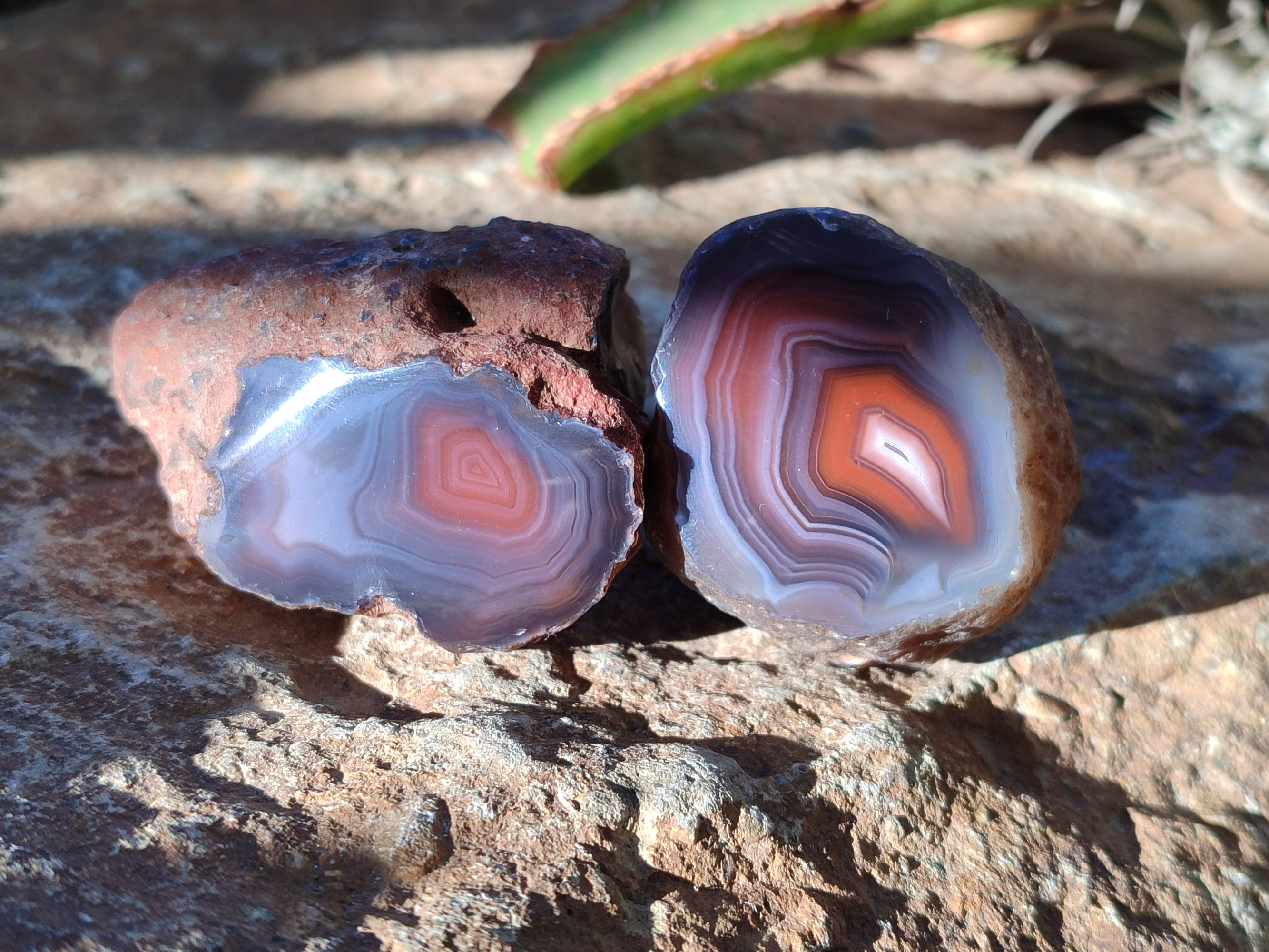 Polished On One Side Red Sashe River Agate Nodules x 20 From Zimbabwe - Toprock Gemstones and Minerals 