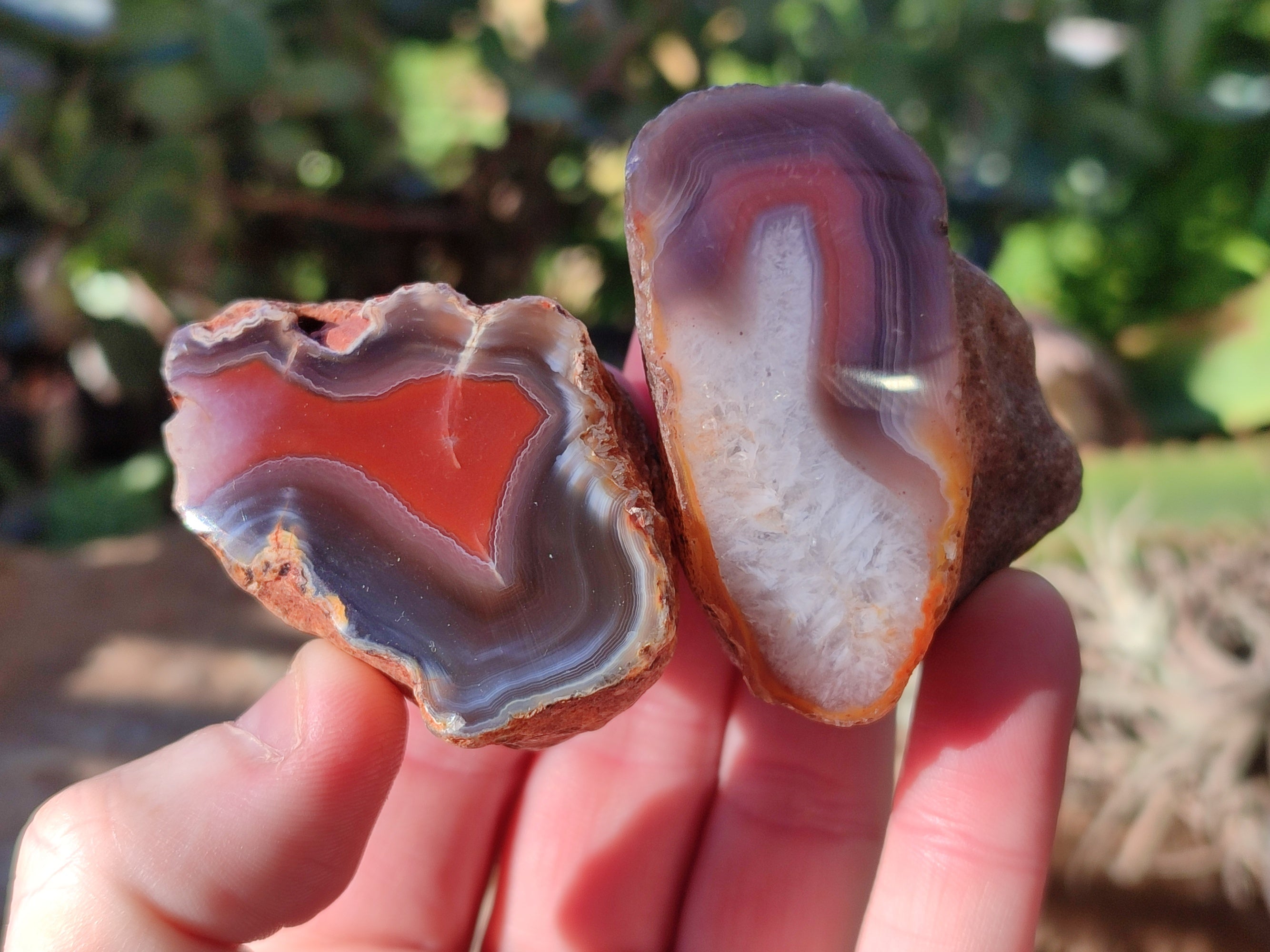 Polished On One Side Red Sashe River Agate Nodules x 20 From Zimbabwe - Toprock Gemstones and Minerals 