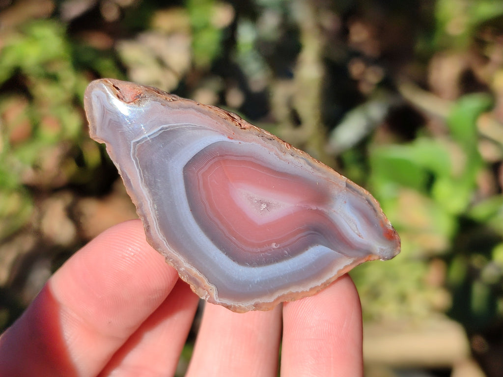 Polished On One Side Red Sashe River Agate Nodules x 20 From Zimbabwe - Toprock Gemstones and Minerals 
