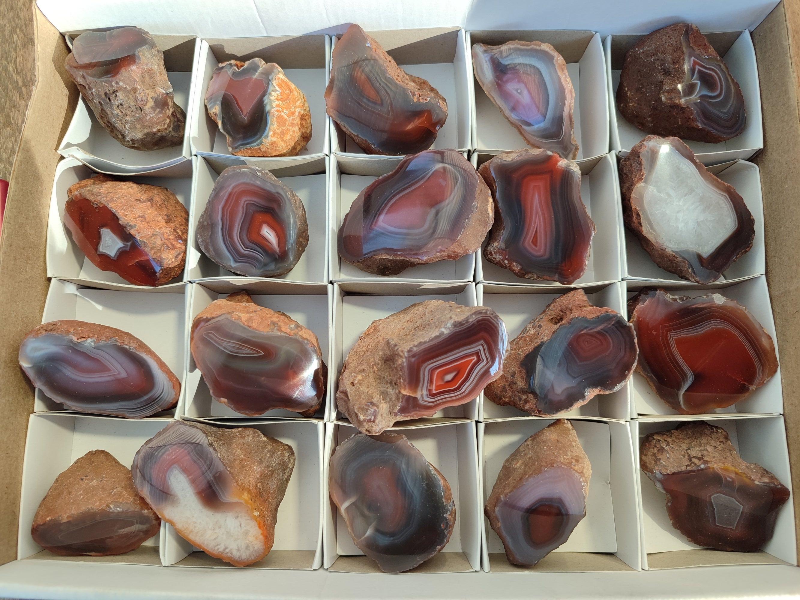 Polished On One Side Red Sashe River Agate Nodules x 20 From Zimbabwe - Toprock Gemstones and Minerals 