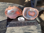 Polished On One Side Red Sashe River Agate Nodules x 20 From Zimbabwe - Toprock Gemstones and Minerals 