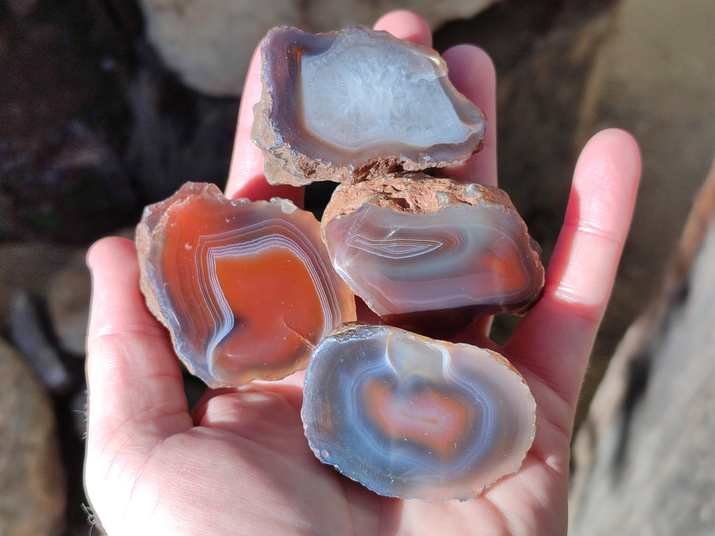 Polished On One Side Red Sashe River Agate Nodules x 20 From Zimbabwe - Toprock Gemstones and Minerals 