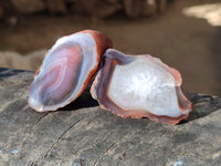Polished On One Side Red Sashe River Agate Nodules x 20 From Zimbabwe - Toprock Gemstones and Minerals 