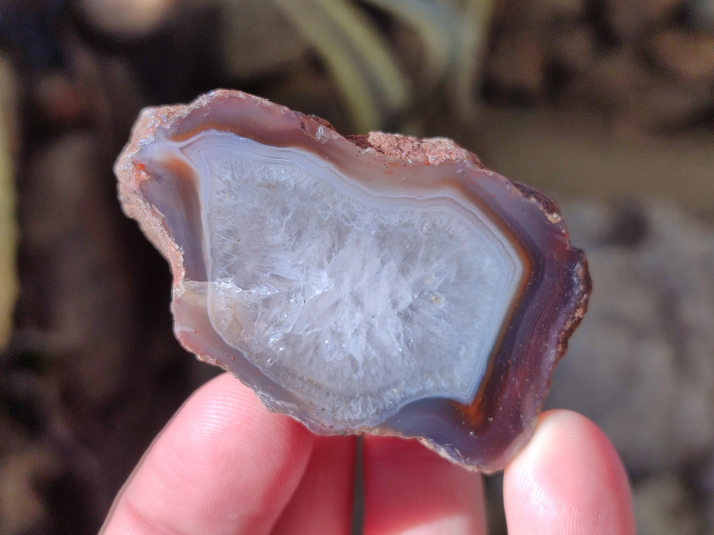 Polished On One Side Red Sashe River Agate Nodules x 20 From Zimbabwe - Toprock Gemstones and Minerals 