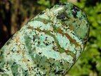 Polished "African Turquoise" Chrysocolla Standing Free Forms x 3 From South Africa - Toprock Gemstones and Minerals 