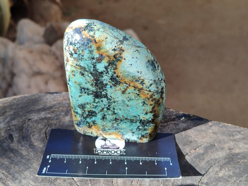 Polished "African Turquoise" Chrysocolla Standing Free Forms x 3 From South Africa - Toprock Gemstones and Minerals 