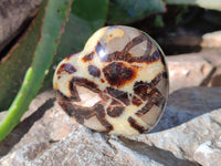 Polished Septerye Hearts x 6 From Mahajanga, Madagascar