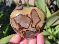 Polished Septerye Hearts x 6 From Mahajanga, Madagascar