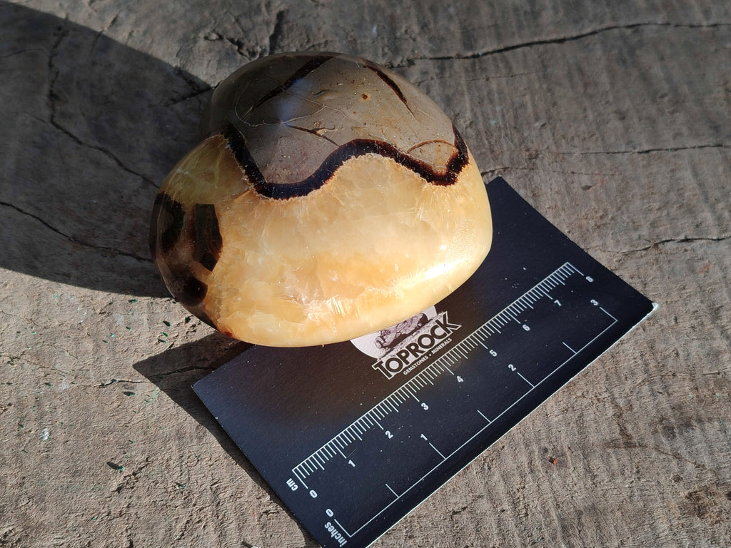 Polished Septerye Hearts x 6 From Mahajanga, Madagascar - Toprock Gemstones and Minerals 