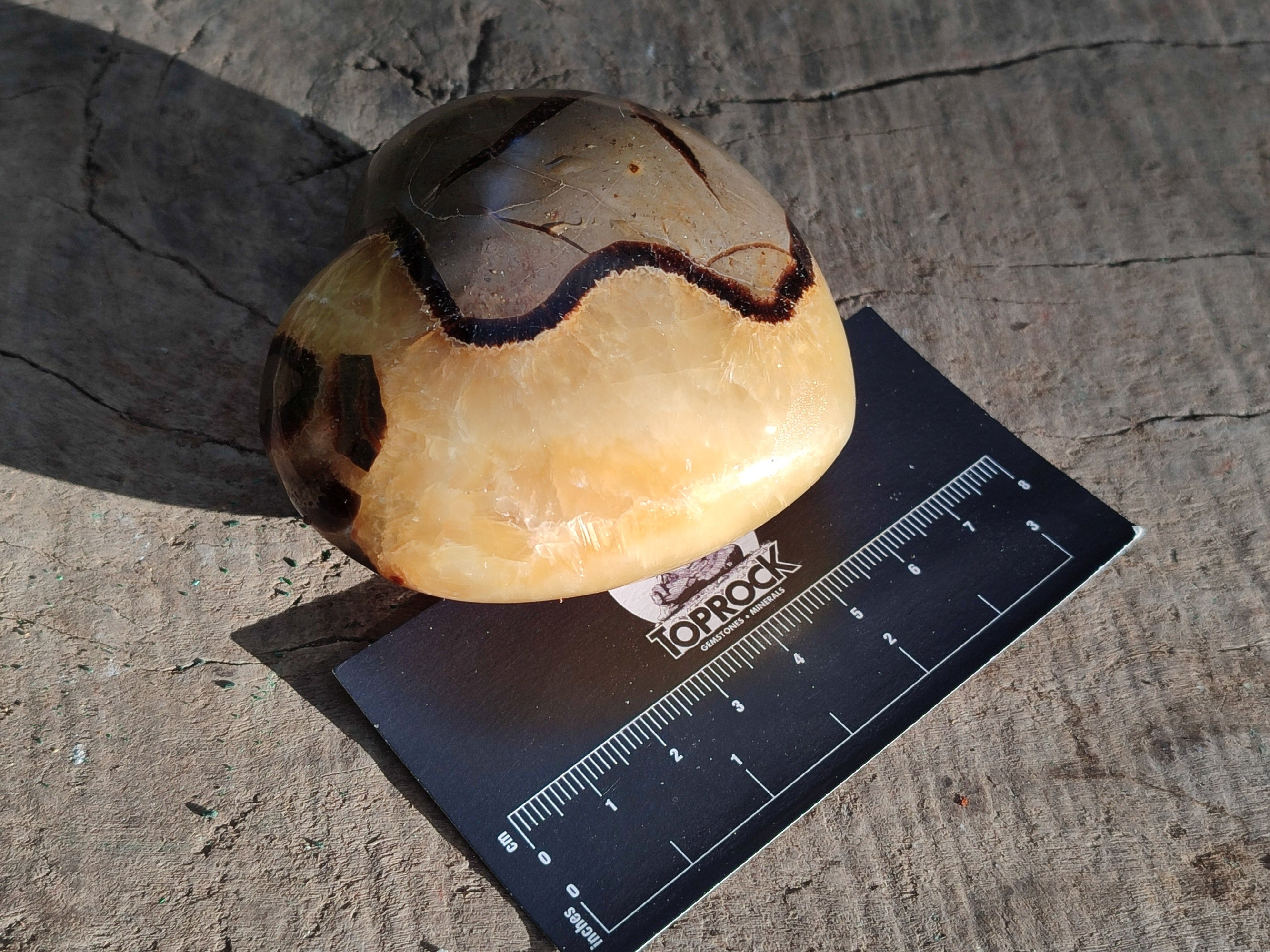 Polished Septerye Hearts x 6 From Mahajanga, Madagascar - Toprock Gemstones and Minerals 