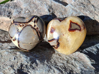 Polished Septerye Hearts x 6 From Mahajanga, Madagascar