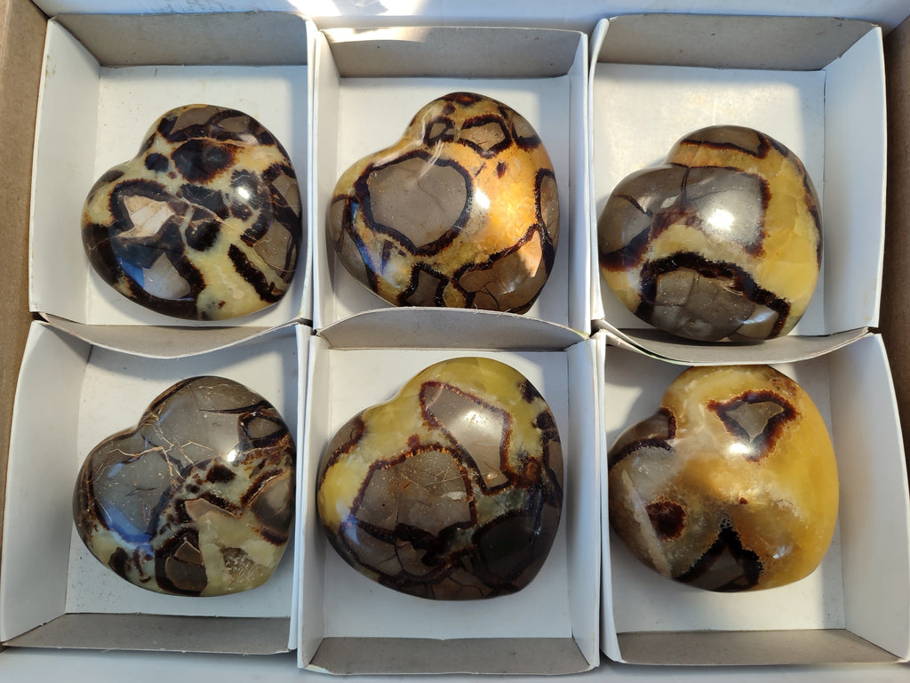 Polished Septerye Hearts x 6 From Mahajanga, Madagascar - Toprock Gemstones and Minerals 