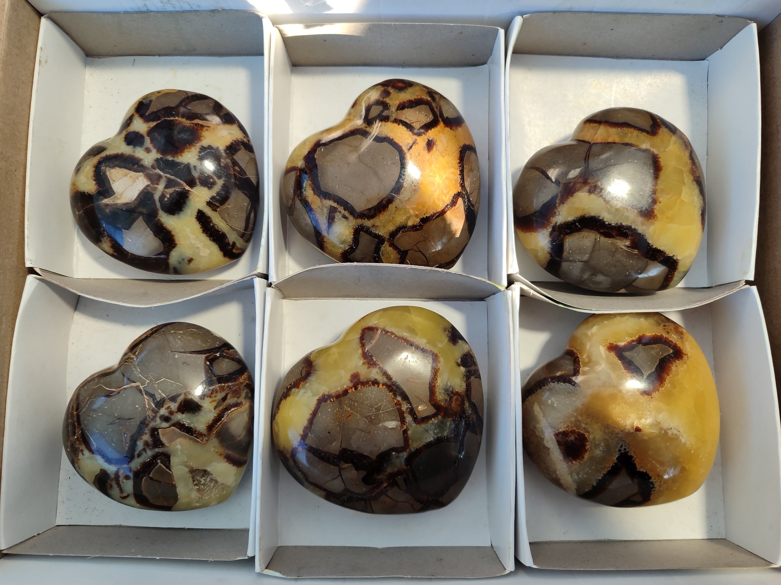 Polished Septerye Hearts x 6 From Mahajanga, Madagascar - Toprock Gemstones and Minerals 