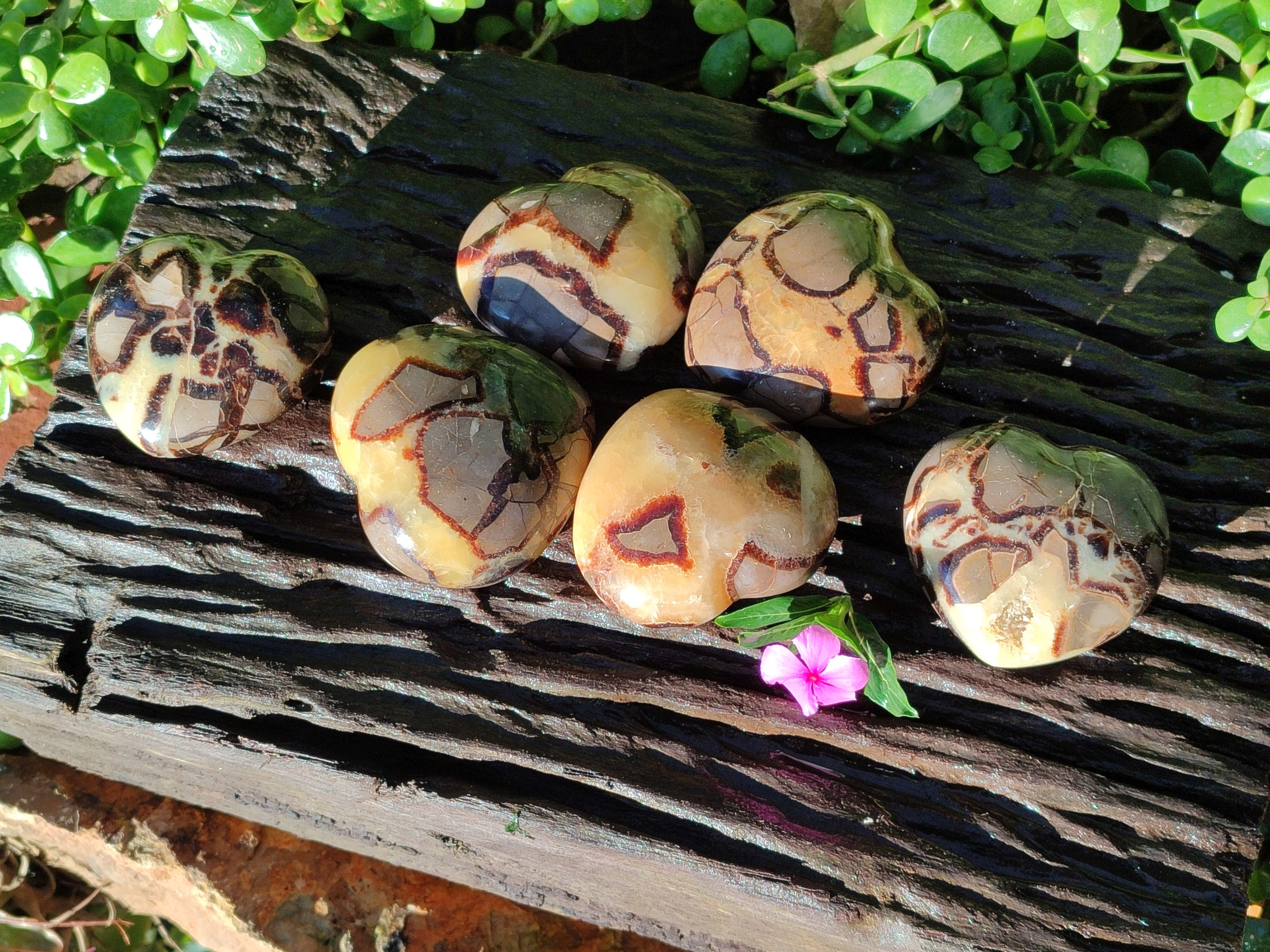 Polished Septerye Hearts x 6 From Mahajanga, Madagascar - Toprock Gemstones and Minerals 