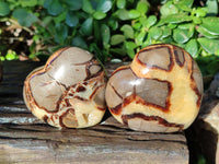 Polished Septerye Hearts x 6 From Mahajanga, Madagascar