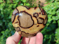 Polished Septerye Hearts x 6 From Mahajanga, Madagascar