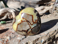 Polished Septerye Hearts x 6 From Mahajanga, Madagascar