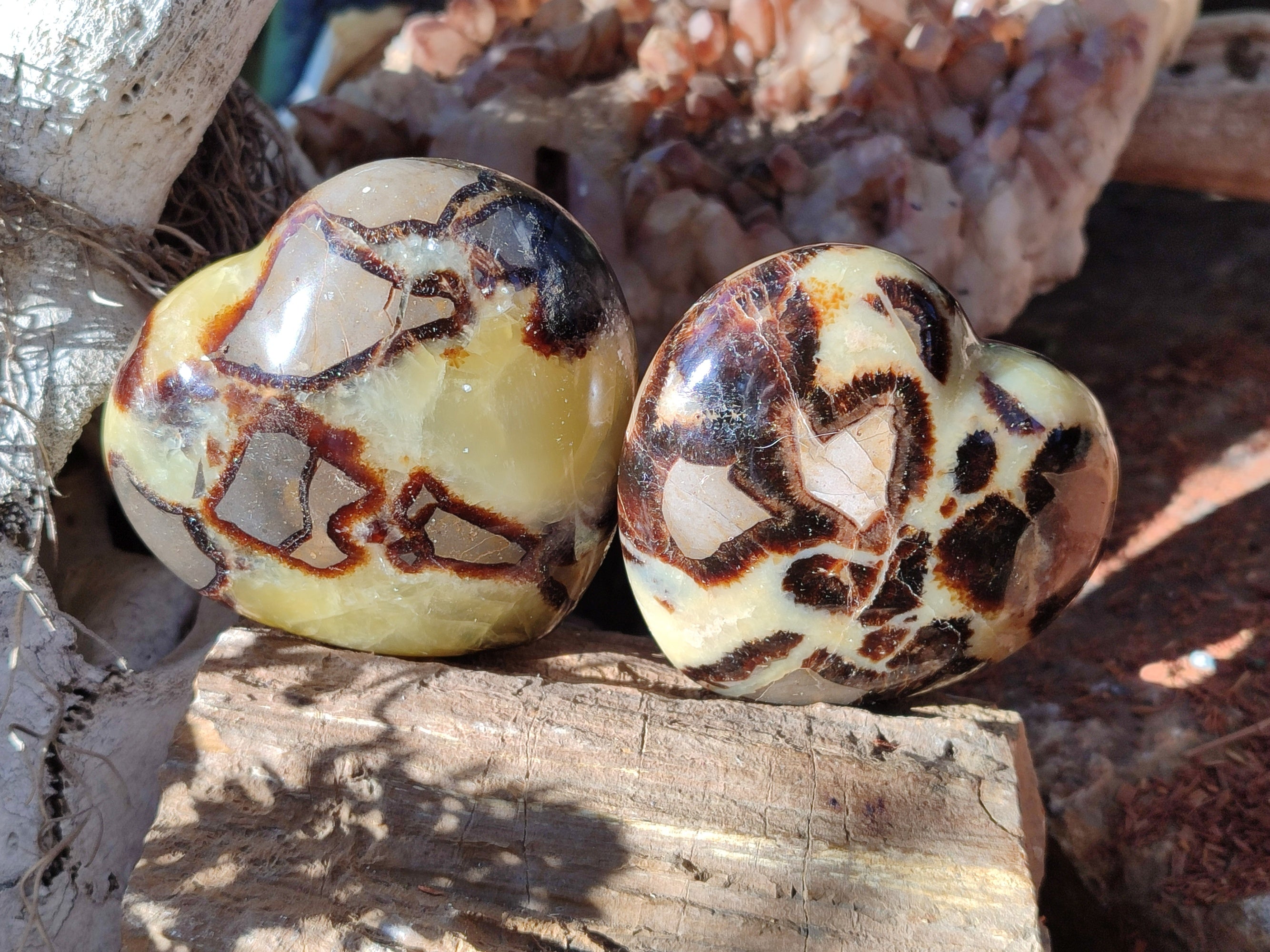Polished Septerye Hearts x 6 From Mahajanga, Madagascar - Toprock Gemstones and Minerals 