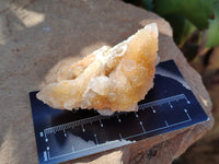 Natural Golden Limonite Spirit Quartz Clusters x 12 From Boekenhouthoek, South Africa - Toprock Gemstones and Minerals 